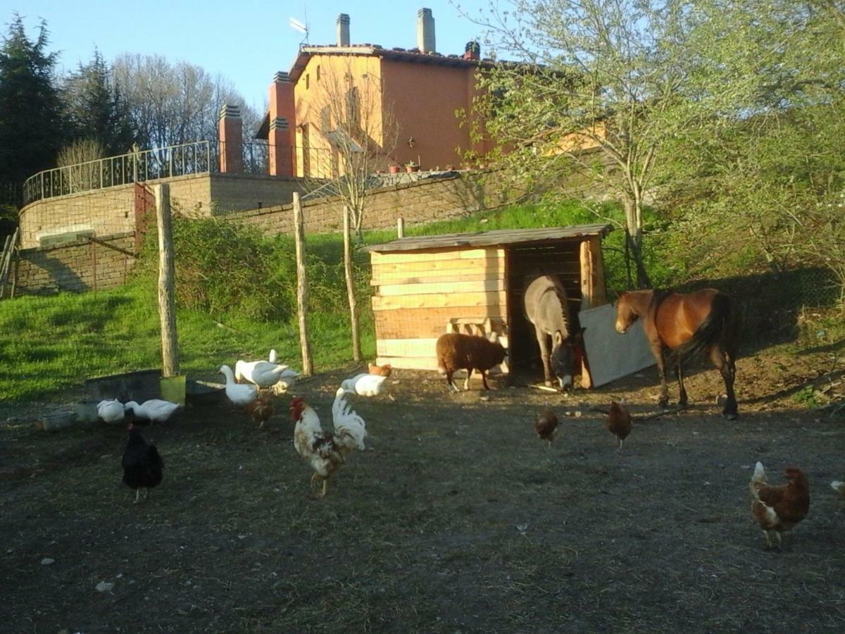 Casa Bindi Hotel Triana Zewnętrze zdjęcie